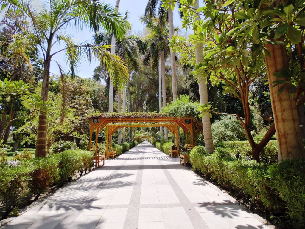 Aswan Botanical Island