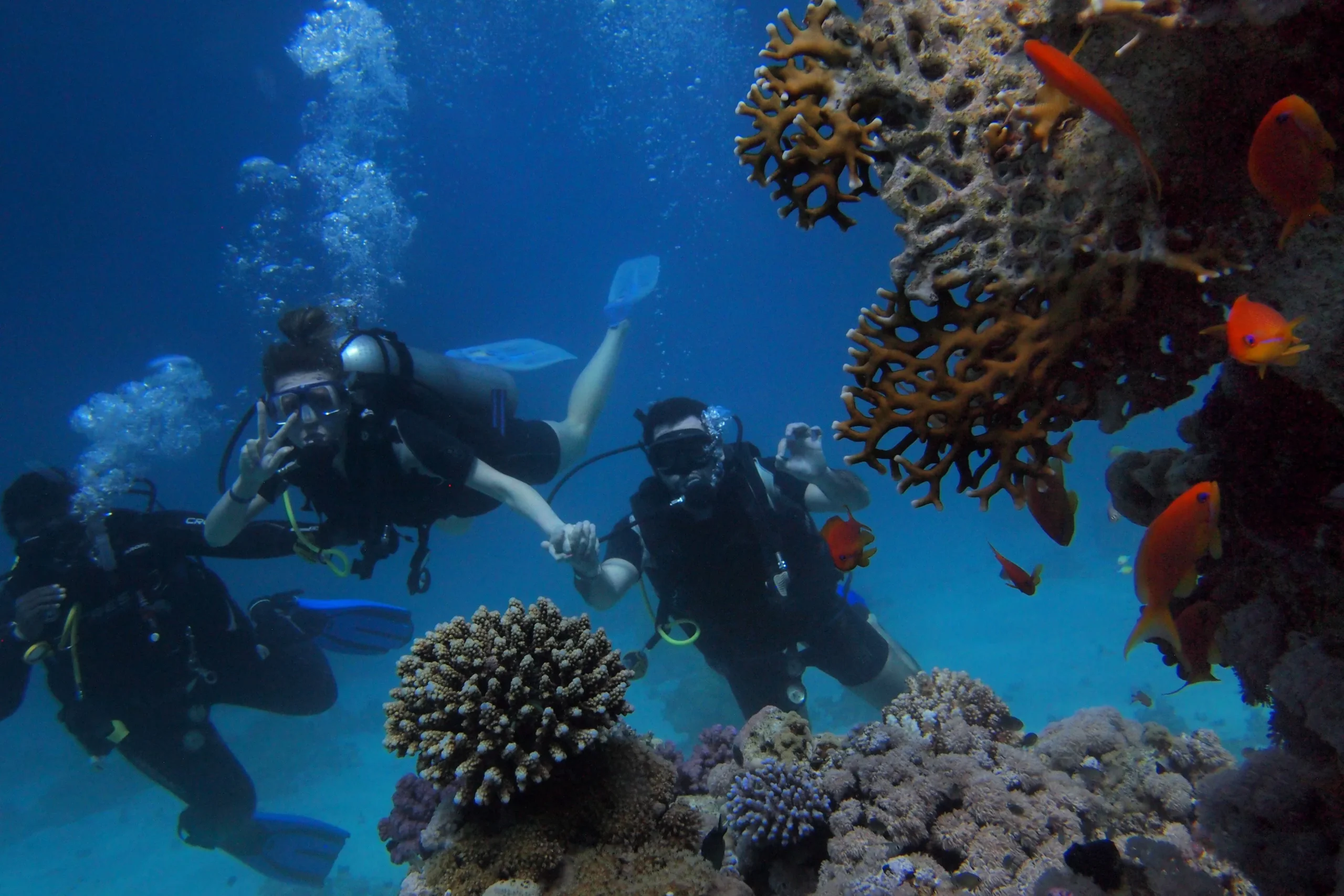 The World Beneath the Red Sea